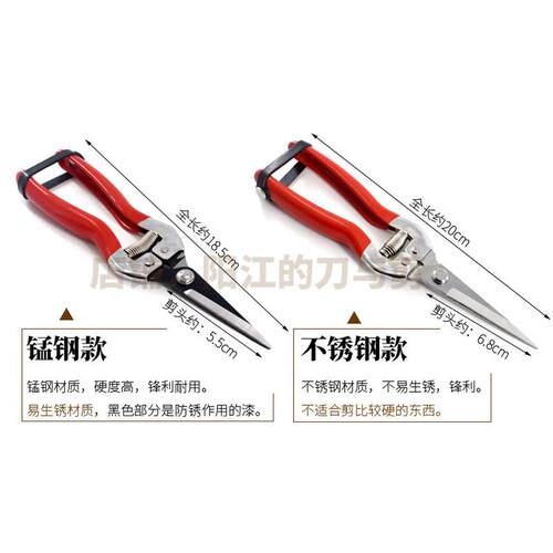 塘夫子锰钢高碳钢利修枝剪刀AES直果头摘树枝剪花锋修叶耐用可剪