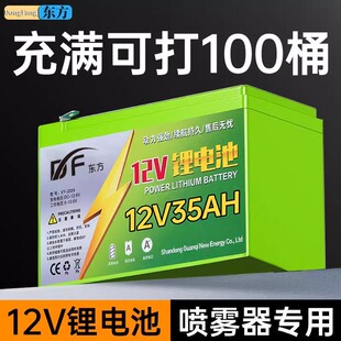 德国进口锂电池电动喷雾器12v多功能大容量专用锂电池电瓶农用打