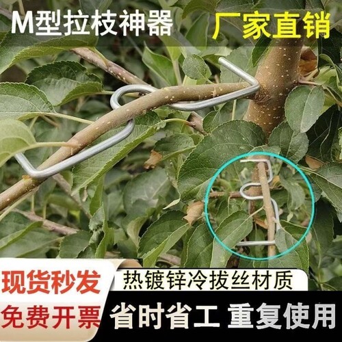 拉枝拉枝型弯弯神器果树园林器枝定型造型M压枝树木定型枝条树木