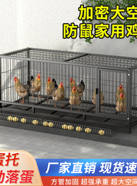 鸡笼子家用室外特大号养殖笼加密芦丁鸡笼养鸡家禽笼铁丝网鸭鹅笼
