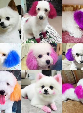 狗狗染发剂宠物专用比熊泰迪毛发染毛膏动物漂白博美染色白色用品