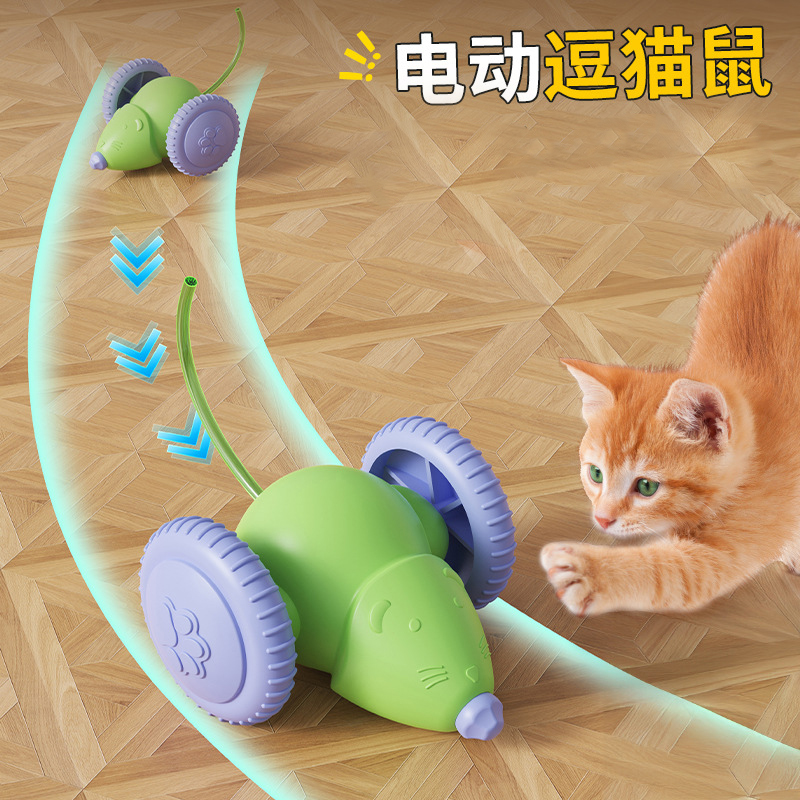 猫玩具消耗体力宠物猫咪
