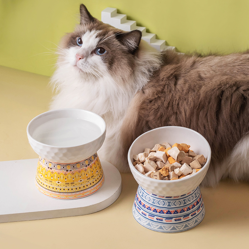 猫咪吃饭高脚陶瓷猫碗斜口小狗狗饭碗专用幼猫食盆护颈饭盆喝水碗