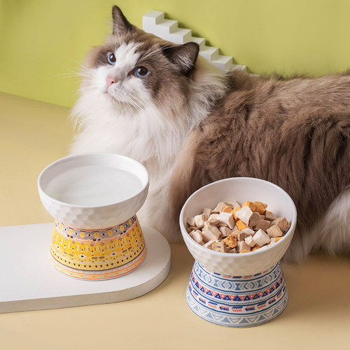 猫咪吃饭高脚陶瓷猫碗斜口
