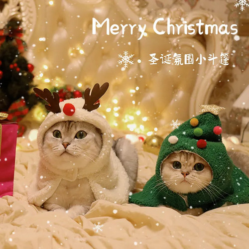 泰迪比熊冬天冬装冬季保暖