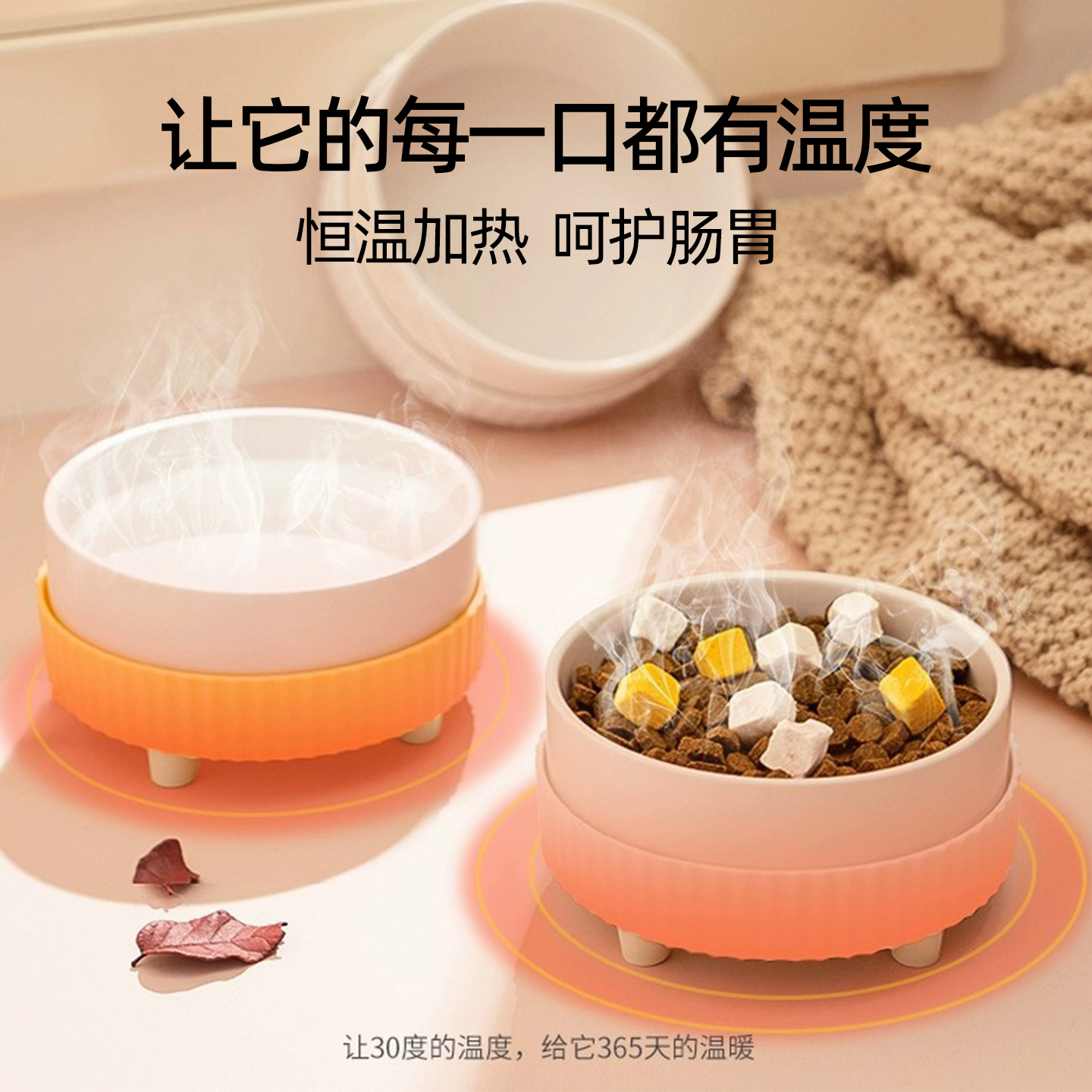 猫咪恒温加热饮水机陶瓷宠物小猫