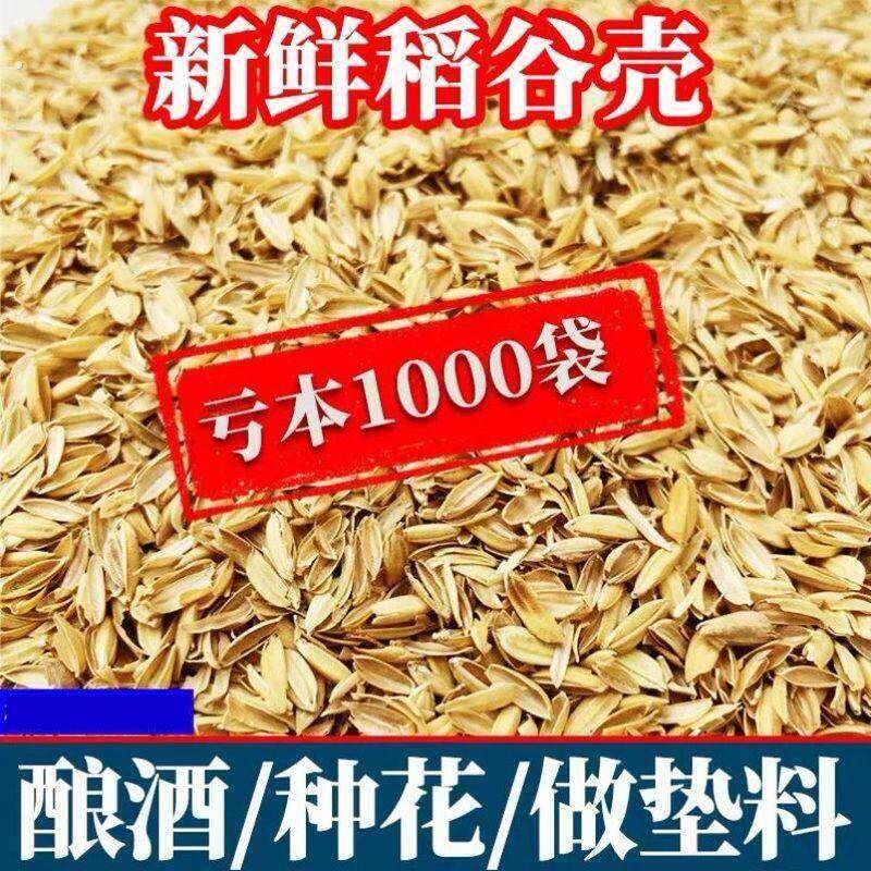 稻壳垫料新鲜谷壳粗糠米糠喂鸡宠物芦丁鸡垫料枕头芯填充酿酒饲料