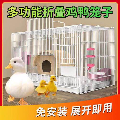 养芦丁鸡笼子饲养专用笼家用室内大号雏鸡雏鸭小鸭小鸡宠物笼加密