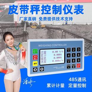 高精度电子皮带秤称重计价秤仪表螺旋配料控制器蛟龙计量称系统
