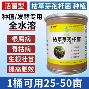 农用2000亿枯草芽孢菌杆菌25公斤微生物菌肥预防病害生根改良土壤