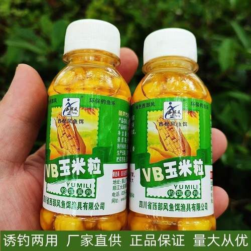 西部风vb麝香玉米王生鲜嫩钓鱼挂钩玉米粒麦粒串钩鲫鲤鱼钓饵打窝