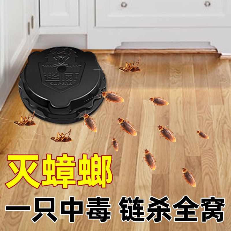 超威蟑螂药杀蟑饵剂一只中毒连环诱杀非无毒家用蟑螂克星魔盒神器