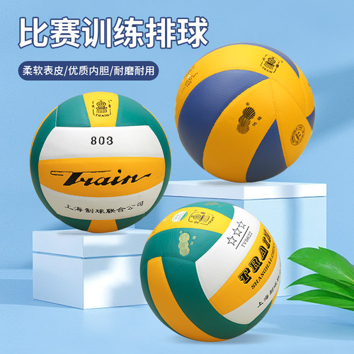 充气排球 4号5号充气排球硬式排球中考学生用球比赛训练排球