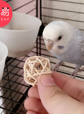 鹦鹉玩具B1pq808-鹦鹉小藤球啃咬磨牙解闷小球小鸟互动玩耍用品