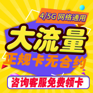 流量卡纯流量上网卡无线流量卡手机电话卡5g校园大王卡4g全国通用