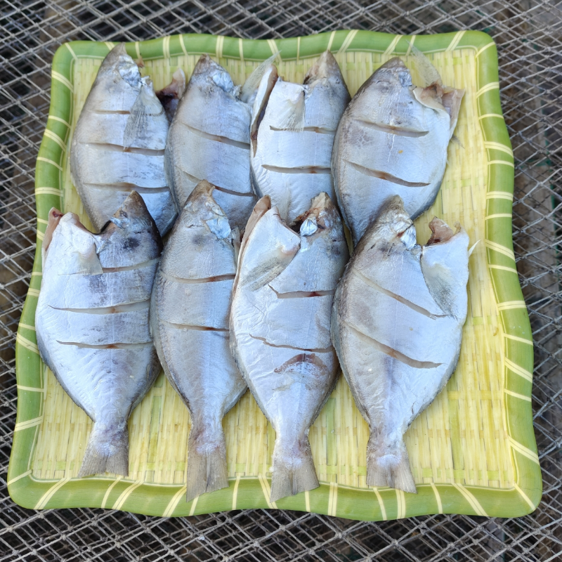 白肉鲳鱼干500克松门特产新鲜美味自晒温岭海鲜干货下饭下酒神器