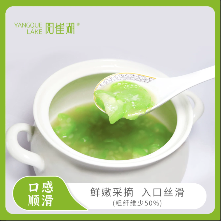 【精品】阳雀湖株洲白关丝瓜正宗地标产品现摘现发 保鲜装 软甜