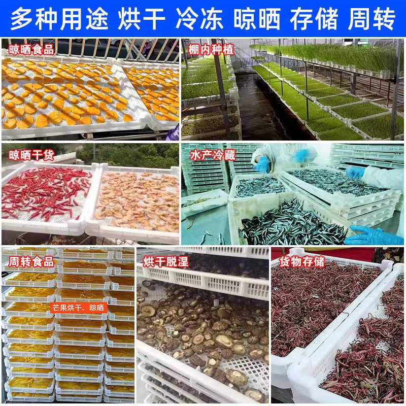 820晒筛晾晒筛梅子筛菜筛果脯筛