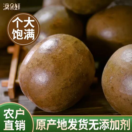 广西桂林永福特产罗汉果商用传统干果罗汉果茶泡水喝中药材大份量