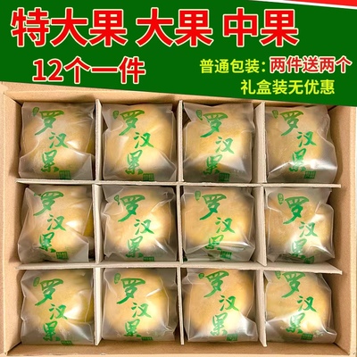 漓果鲜低温脱水黄金罗汉果干果大果广西桂林特产独立包装泡茶囤货