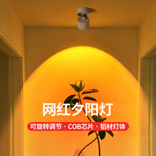 铜之光明装固定式射灯落日夕阳红