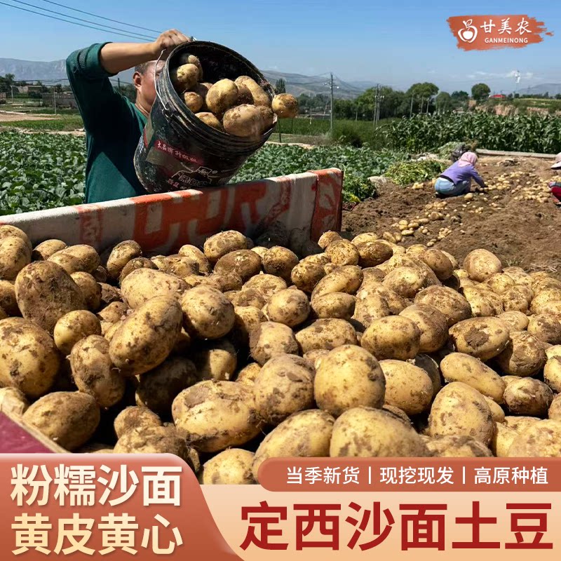 甘美农定西高原粉糯黄心土豆