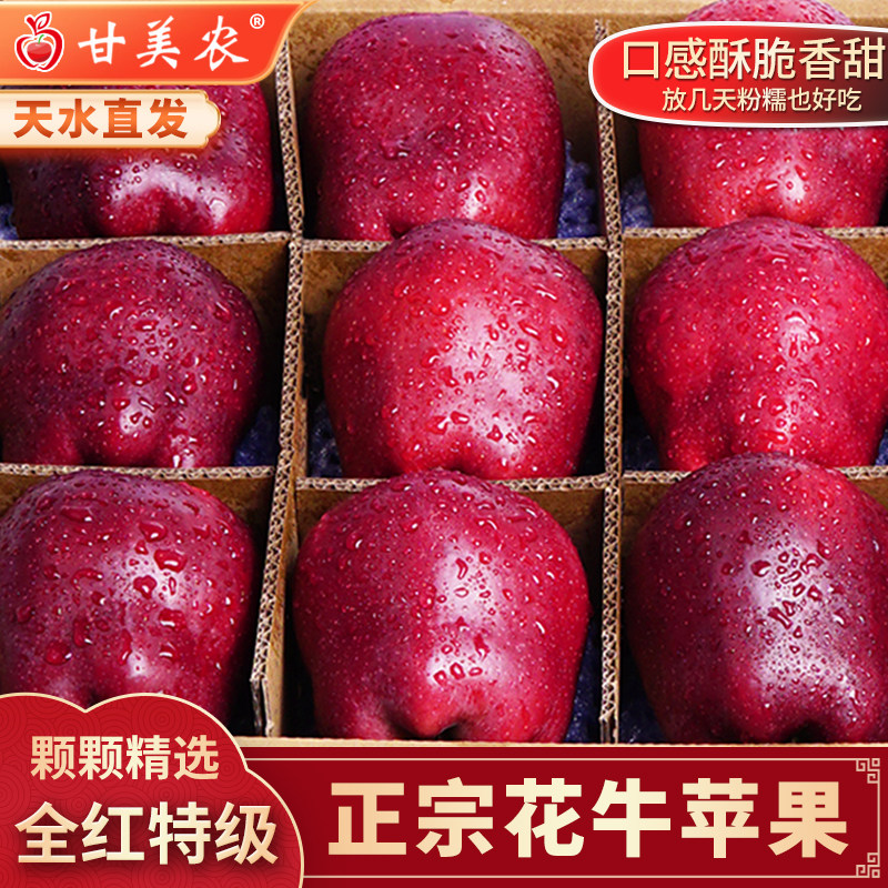 甘美农正宗天水花牛苹果应季蛇红果新鲜脆甜粉面老人孕妇水果礼盒,水产肉类/新鲜蔬果/熟食,苹果,淘宝优惠券,粉丝福利购,淘宝优惠卷