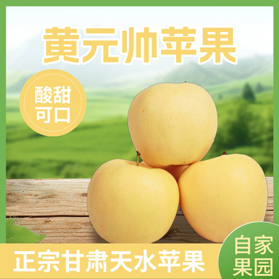 甘肃天水黄元帅苹果粉面刮泥果