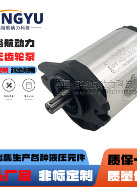 博顿液压油泵Boden齿轮泵BHP1A0D13.8C0L1 BAP1B0 BAP1A0高压油泵
