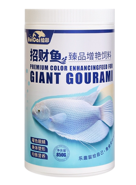 绘彩颗粒招财鱼曜色靓鳞