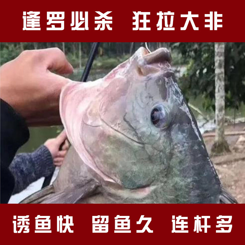 鱼饵罗非鱼饵大福寿鱼料野钓主攻大罗非饵料腥味罗飞饵黑坑鱼饵料