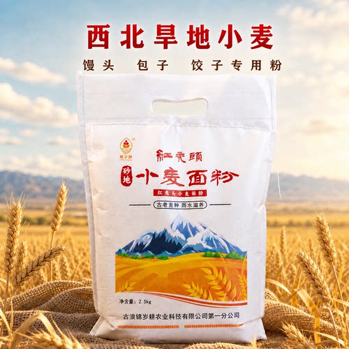 甘肃红秃头小麦胚芽面粉5斤家用