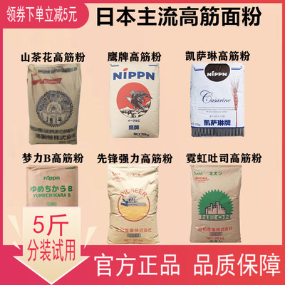 山茶花先锋鹰牌凯萨琳霓虹梦力B