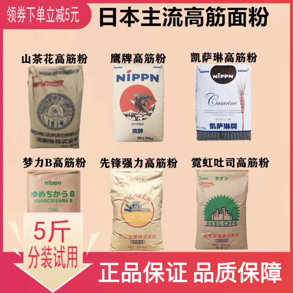 山茶花先锋鹰牌凯萨琳霓虹梦力B图片