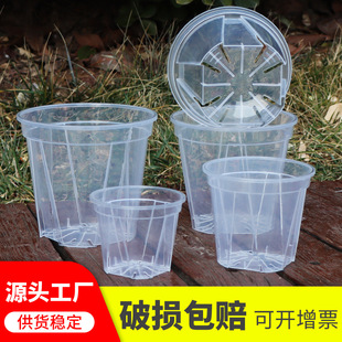 新款 塑料花盆高透青山盆透气控根盆朱顶红盆文心兰蝴蝶兰花盆塑