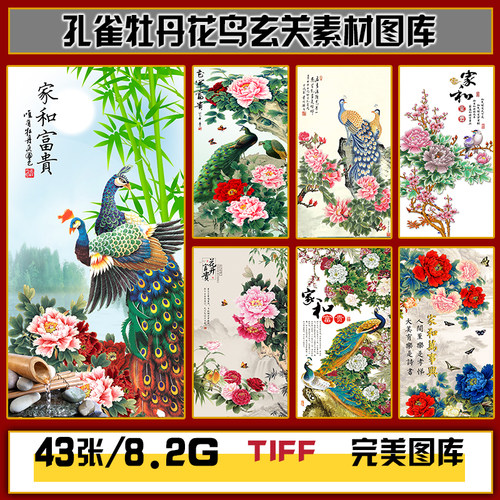 中国风国画牡丹孔雀花鸟山水中式玄关装饰画高清图片图库设计素材