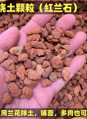 红兰石火烧土颗粒松树皮拌土兰花专用植料兰花铺面垫底红色颗粒土