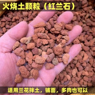红兰石火烧土颗粒松树皮拌土兰花专用植料兰花铺面垫底红色颗粒土