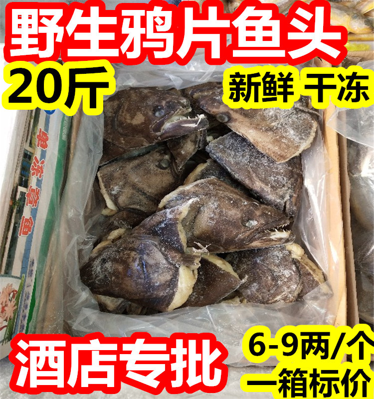 鸦片鱼头整箱20斤大鲽鱼头比目烧烤鱼头新鲜冷冻海鲜海鱼300-500