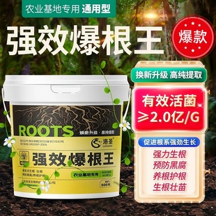 快速生根粉强效爆根王植物通用扦插果树强力专用生根剂壮苗水溶肥