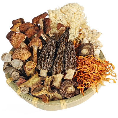 金润源鹿茸菇竹荪煲汤材料羊肚菌