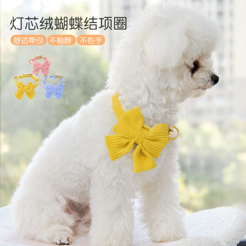 宠物项圈小型犬柯基法斗