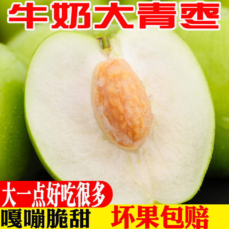 牛奶大青枣大果（6个）脆甜多汁