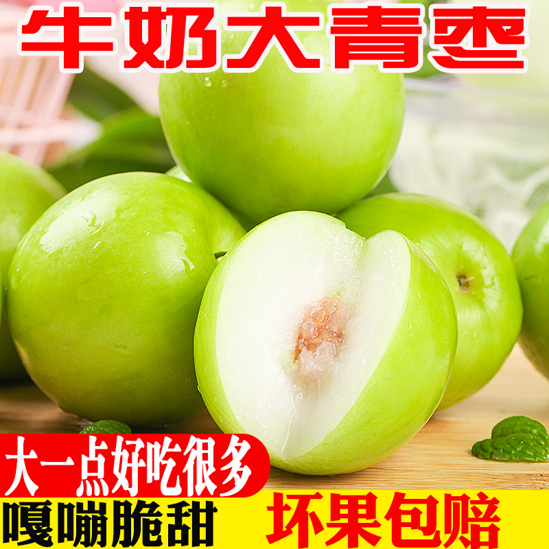 牛奶大青枣大果（6个）脆甜多汁