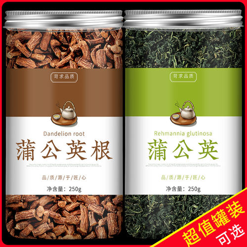 蒲公英根叶正品特级新鲜蒲