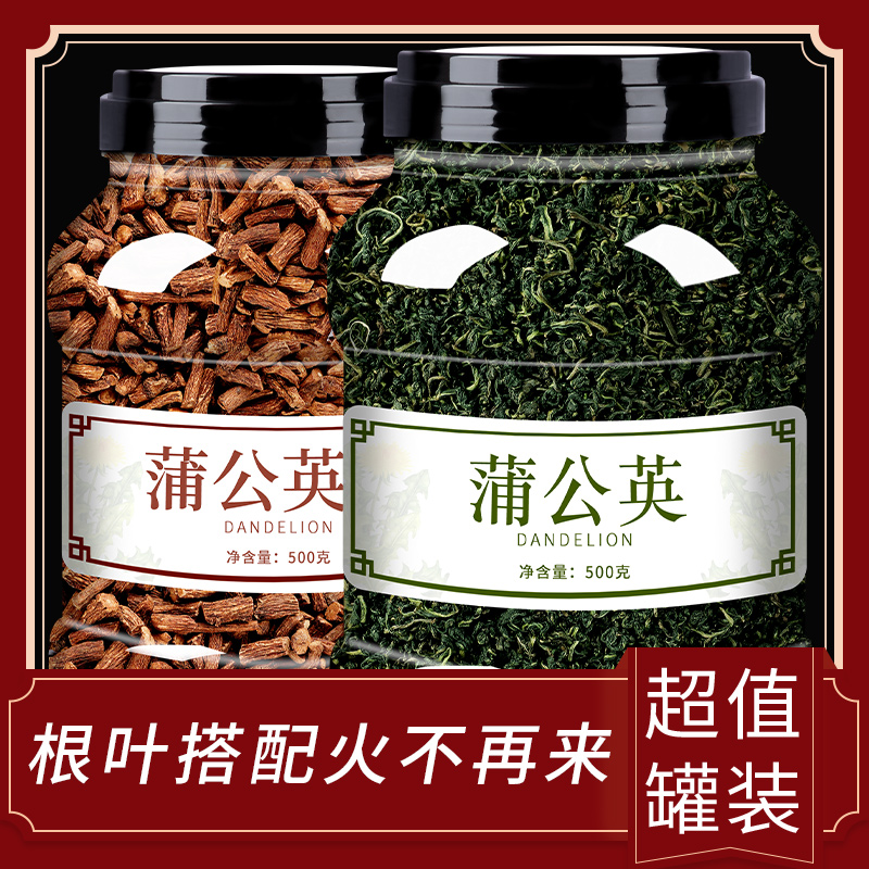 蒲公英茶蒲公英根正品疏肝解郁