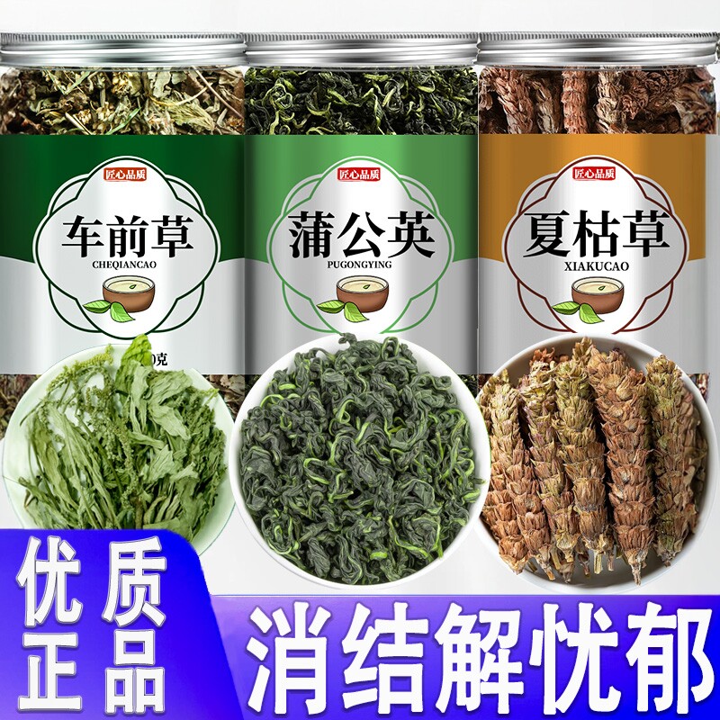 车前草蒲公英夏枯草散结茶图片
