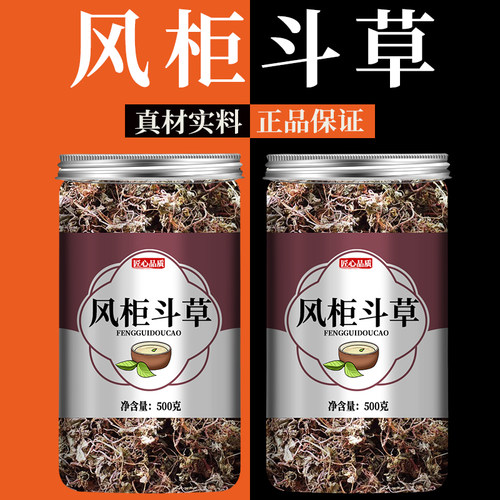 风柜斗草野生正品中药材