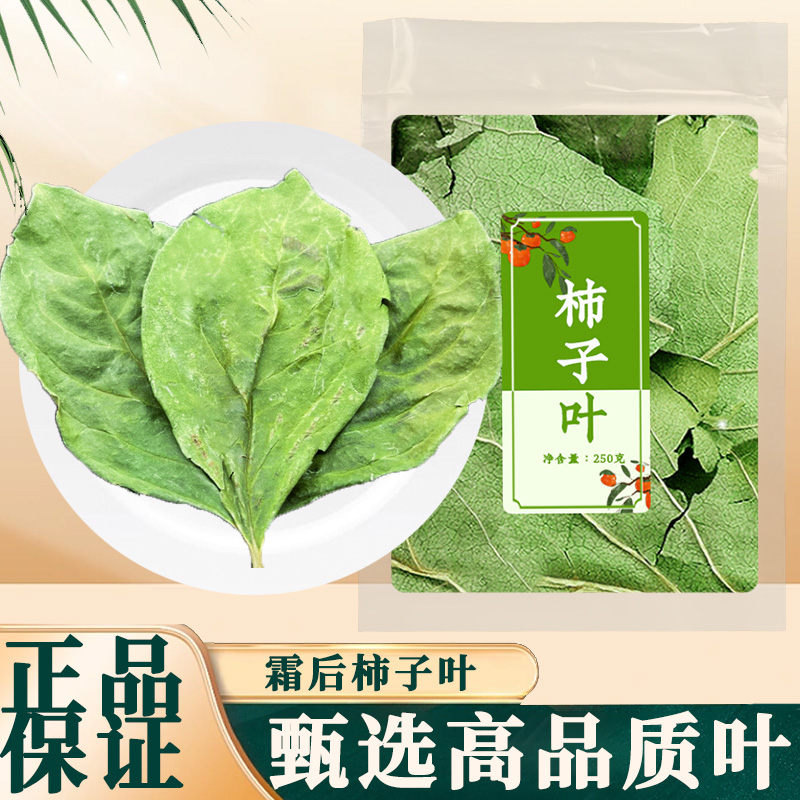 干柿子叶茶中药正品霜后新鲜野生柿树叶柿子叶子柿叶茶粉泡水泡茶