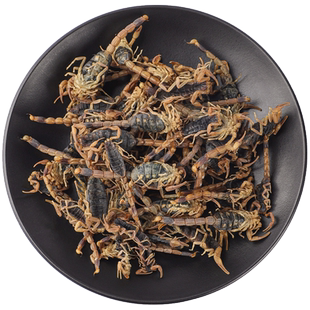 全蝎中药材100g蒙山全蝎中药沂蒙全蝎酒全蝎粉十足清水全蝎膏泡酒